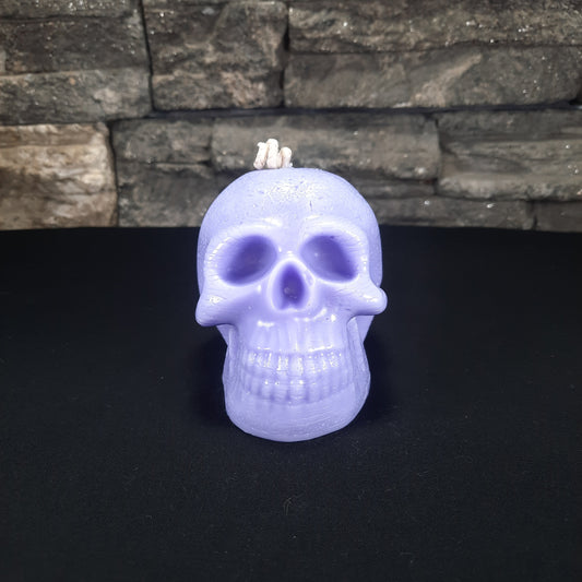 Skull Pillar Iced Vanilla Woods BBW Type Candle